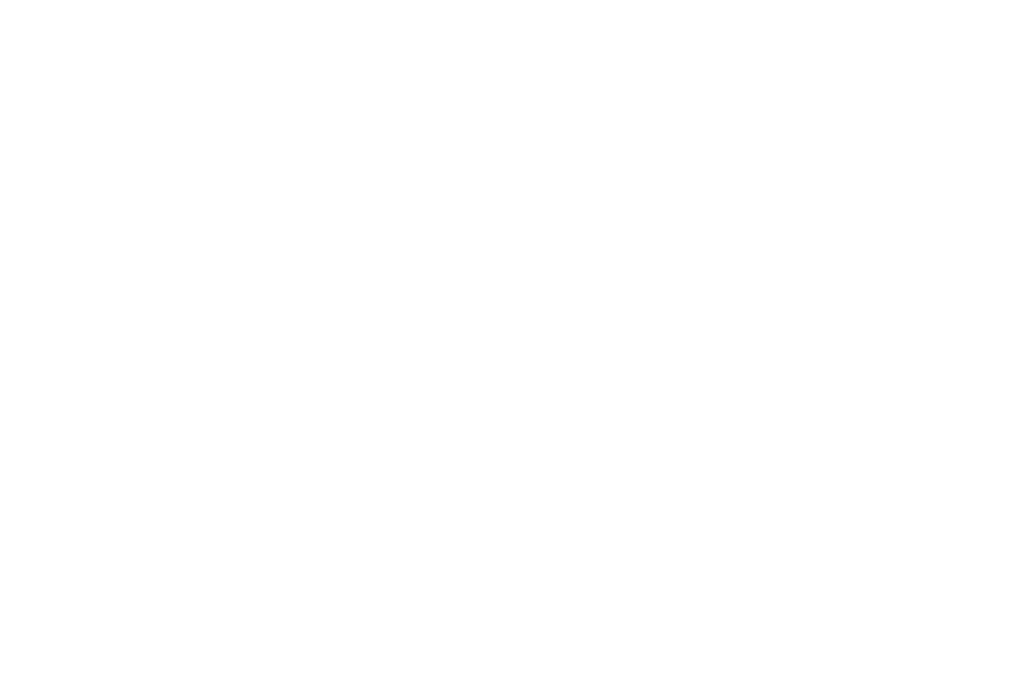 Logo Rapeks